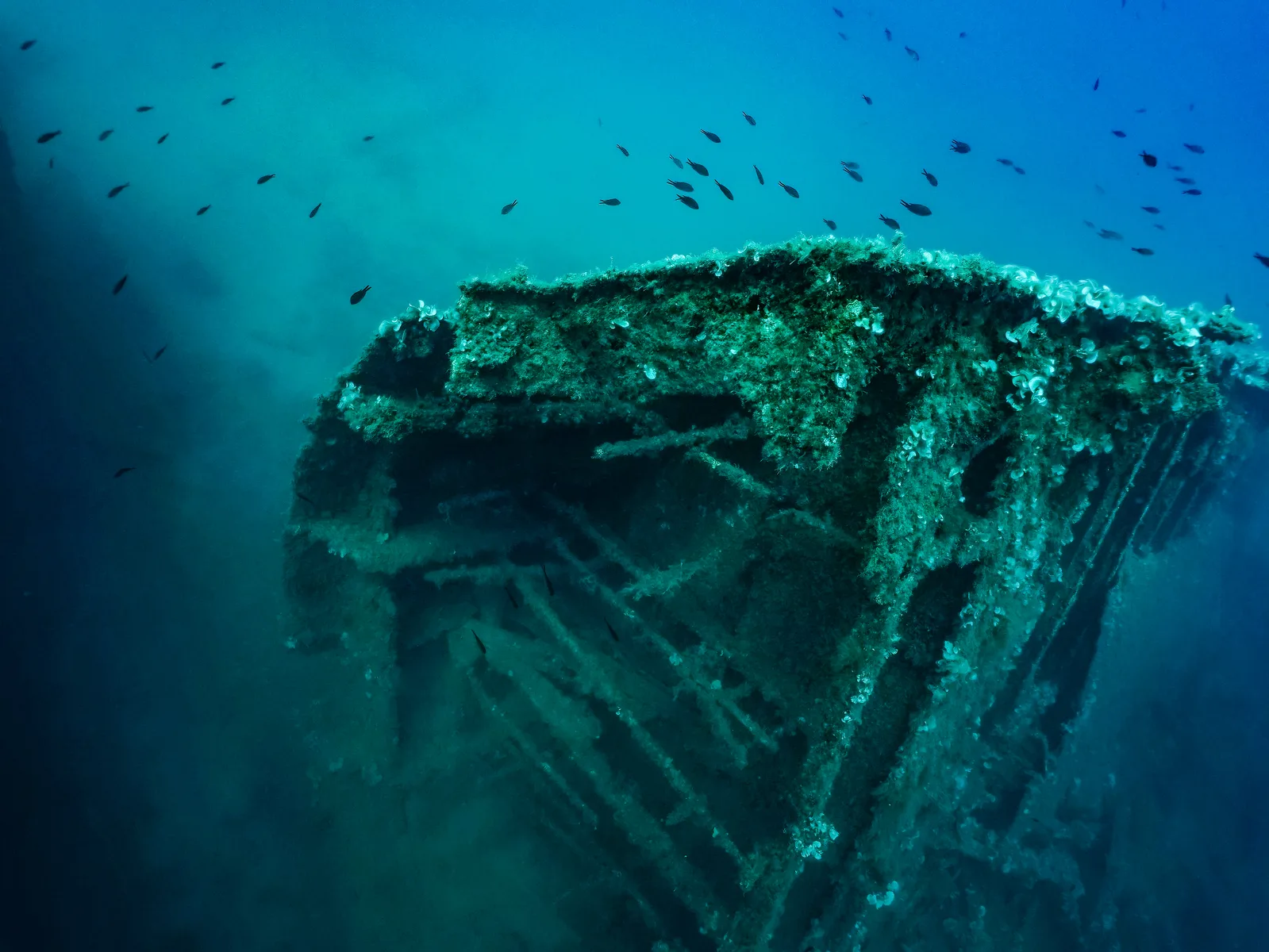 Dague, photograph 1